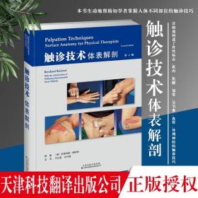 触诊技术：体表解剖