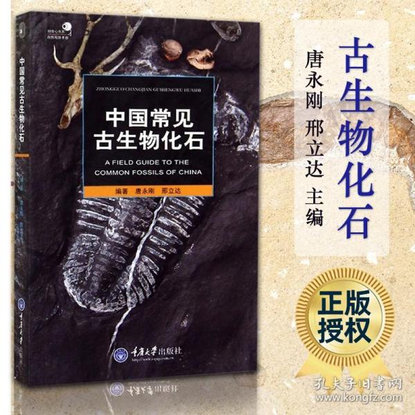 中国常见古生物化石