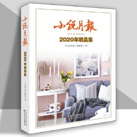 小说月报2020年精品集