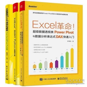 【閃電發(fā)貨】書籍Excel革命數(shù)據(jù)透視表Power Pivot與數(shù)據(jù)分析表達(dá)式DAX速入門+Python數(shù)據(jù)分析+從數(shù)據(jù)到ExcelPowerQuery和PowerPivot實(shí)戰(zhàn)書籍
