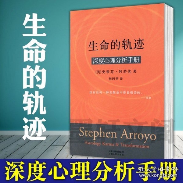【闪电发货】北京立品 图书 生命的轨迹：深度心理分析手册 [美] 史蒂芬·阿若优 著；胡因梦译