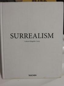 SURREALISM《超现实主义艺术》