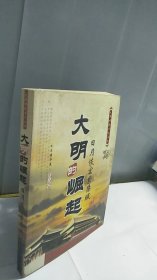 大明的崛起：日月恢宏紫禁城