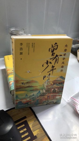 曾有少年时：大唐才子风华录网红教授戴建业、百家讲坛主讲人蒙曼、知名历史作家吴钩、新生代才女北溟鱼倾情推荐