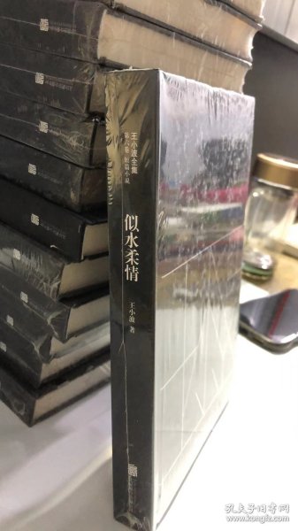 王小波全集（第六卷 短篇小说）：似水柔情