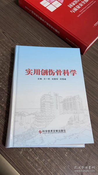 实用创伤骨科学