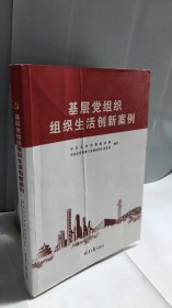 基层党组织组织生活创新案例