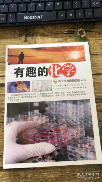 探索学科科学奥秘丛书：有趣的化学