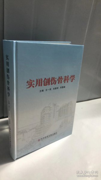 实用创伤骨科学