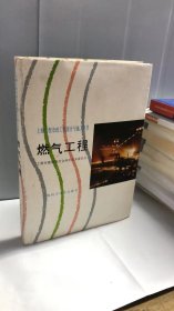 上海大型市政工程设计与施工丛书：燃气工程