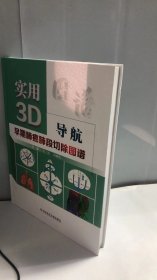 实用3D导航早期肺癌肺段切除图谱