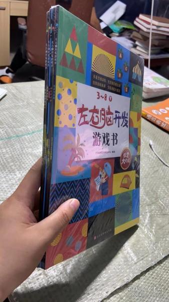 左右脑开发游戏书 （套装4册）100多幅奇趣情景，900多个场景细节，近300个玩出花样的益智游戏，开启3~8岁孩子多元化思维模式