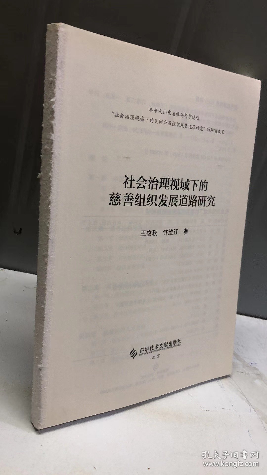 社会治理视域下的慈善组织发展道路研究