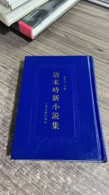 清末时新小说集  五