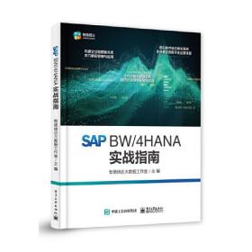 XG（社版）SAP BW/4HANA 实战指南