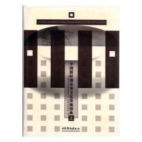 中国新时期优秀文化设施图典 （上下册）精装