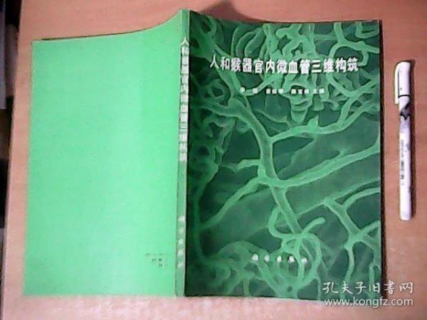 人和猴器官内微血管三维构筑   图文并茂  品佳【北8】