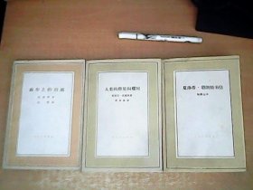 文化生活译丛：画布上的泪滴 + 人类的群星闪耀时 + 夏洛蒂勃朗特书信     3册和售    【西4】