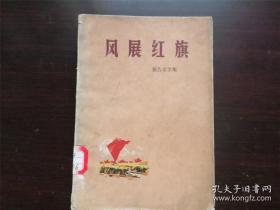 红旗 报告文学