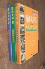 西部大开发1-3部发挥特色优势 改善软件环境 总体战略部署 货号18-4