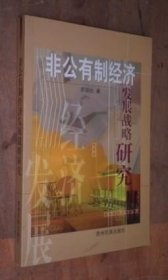 非公有制经济发展战略研究 货号96-3