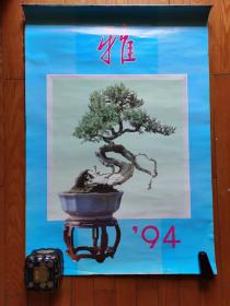 1994年盆景大挂历—雅 12张全