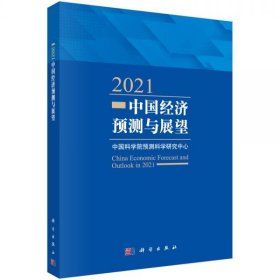 2021中国经济预测与展望