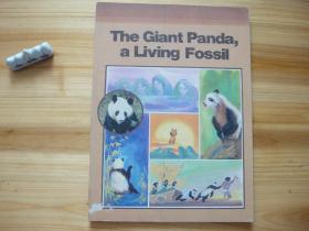 大熊猫丛书 1 活化石——大熊猫 彩版 英文版 内页干净整洁