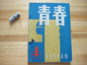 青年文学丛刊 青春 创刊号 （相对于该书比较明显的瑕疵都拍摄出来了，请仔细参考图片。）