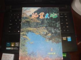 就业天地 创刊号