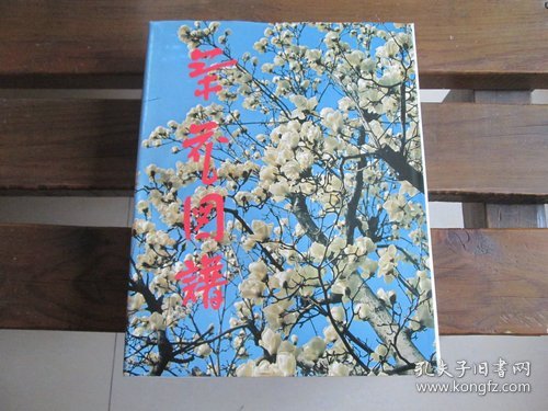 日文茶花図譜 茶花图谱 下岛正夫 编