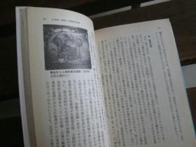 日文原版 騎馬民族国家―日本古代史へのアプローチ (中公文庫 M 238) 江上 波夫