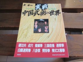 日文福昌堂 武术别册  实战 中国武术の世界硬功夫 点穴 螳螂拳 三皇炮拳 通臂拳 通背拳 八卦掌 劈挂拳 太极拳