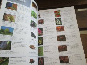 日文 超拡大で虫と植物と鉱物を撮る—超拡大撮影の魅力と深度合成のテクニック (自然写真の教科書1) 日本自然科学写真協会(SSP), 新井 文彦