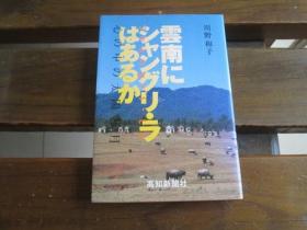 日文原版云南有香格里拉吗 云南にシャングリラはあるか 心の中の太阳と月 川野 和子