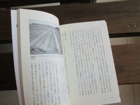 日文 塩の文明誌 人と環境をめぐる5000年 (NHKブックス) 佐藤洋一郎 、 渡邉紹裕