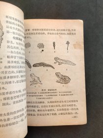 60年代人教版初中生物课本 动物学 正版老课本不缺页 64年一版一印 如图