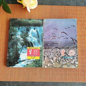 90年代2000年高中生物课本 人教版 高级中学课本生物 必修+ 选修两本合售 正版库存未使用