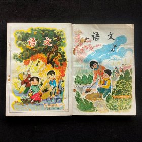 70-80七十八十年代人教版全日制十年制小学课本语文一套10册  正版库存老课本78-82年印 全一版 未使用 彩色毛华像 二简字 品相精美  实物拍摄