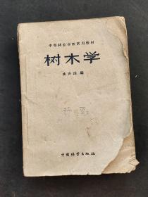 50五十年代中等林业学校试用教材 树木学 59年印 共439页 树木插图非常丰富