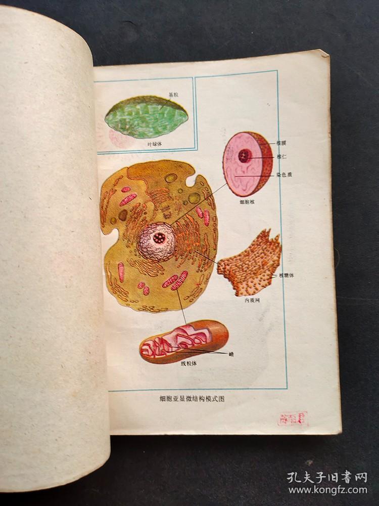 70年代正版老课本人教版全日制十年制学校高中课本生物全一册 79年一版一印