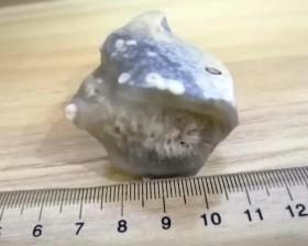 形似太岁灵芝玛瑙奇石，，尺寸重量见图