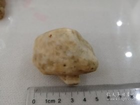 乌龟背形状奇石玛瑙，戈壁玛瑙，观赏石原石，尺寸重量见图，色泽温润，吉祥可用作茶宠