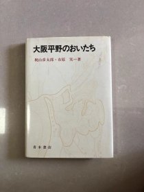 大阪平野のおいたち 単行本 – 1986/11/1 梶山 彦太郎 (著), 市原 実 (著)