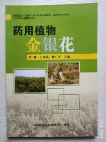 药用植物金银花