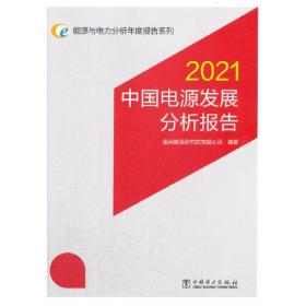 能源与电力分析年度报告系列 2021 中国电源发展分析报告