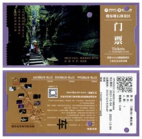 2548旧收藏品门券参观券--湖北梭布垭石林电子门票--打孔品好