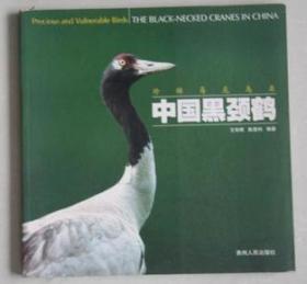 珍稀易危鸟类中国黑颈鹤