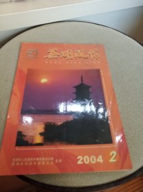 芜湖风情 2004年第2期