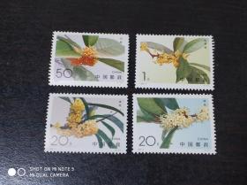 邮票 1995-6 桂花
